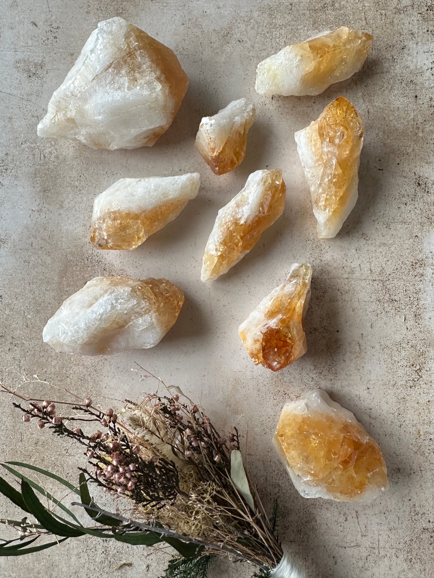 Uncut Citrine Teeth