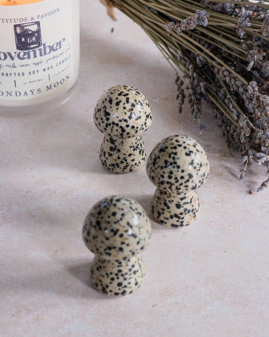 Dalmatian Jasper Mushroom
