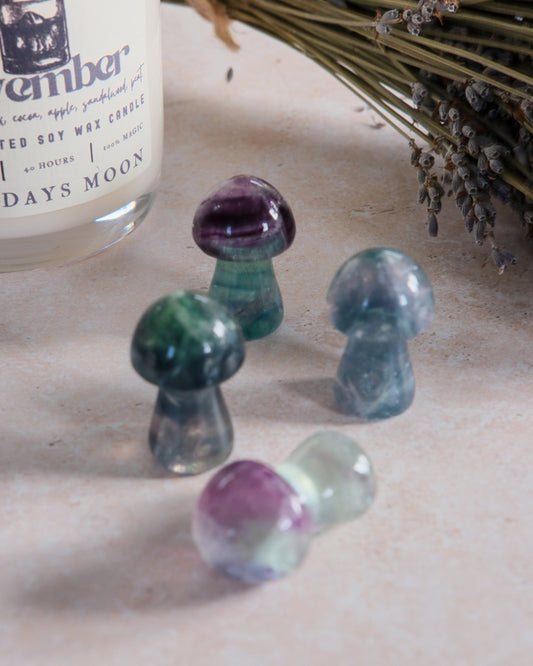 Rainbow Fluorite Mushroom