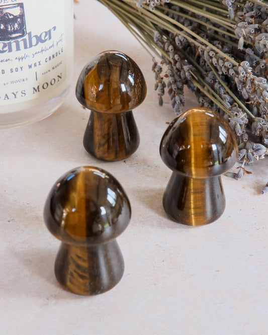Tigers Eye Mushroom